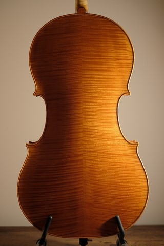 violoncelle, dos