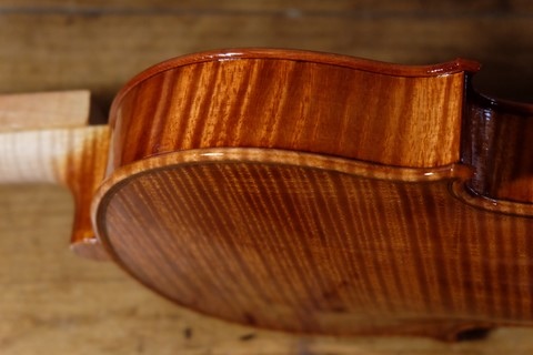 mise en valeur de l'érable, Thierry BRUNO luthier 