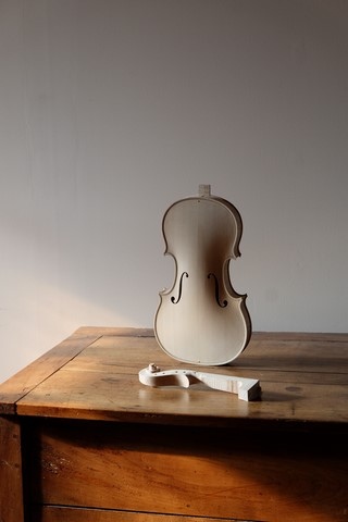 Thierry BRUNO luthier