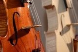 violons Thierry BRUNO