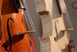 violon Thierry BRUNO