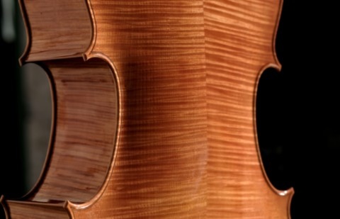 violoncelle fraichement verni