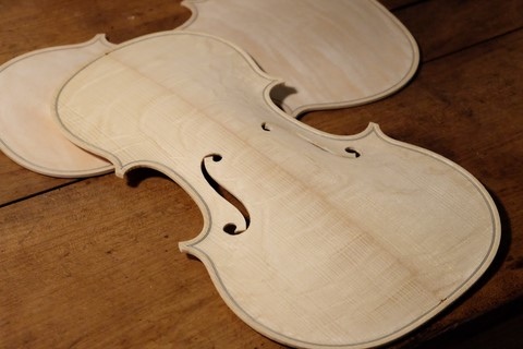 table de violon en blanc