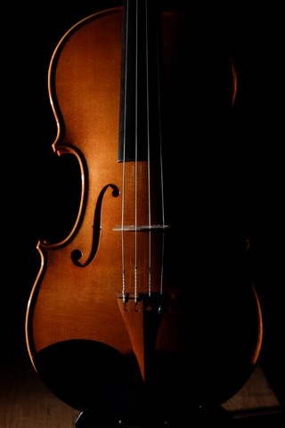 violon Thierry BRUNO 2020