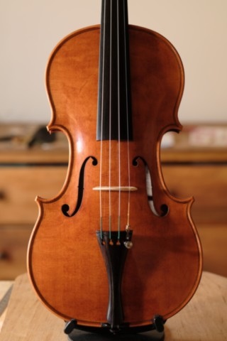 violon 2025, face