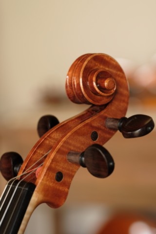 violon 2025, tête