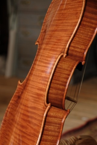 violon 2025, dos 3/4