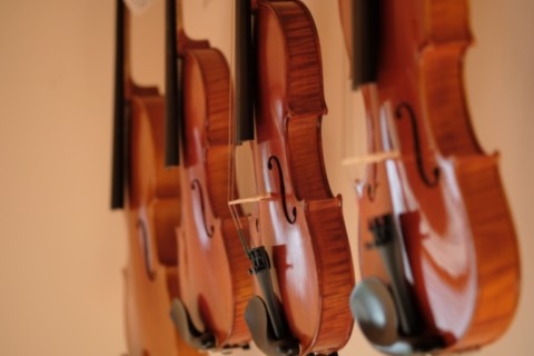 violons pour location
